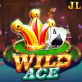 Wild Ace card slot art